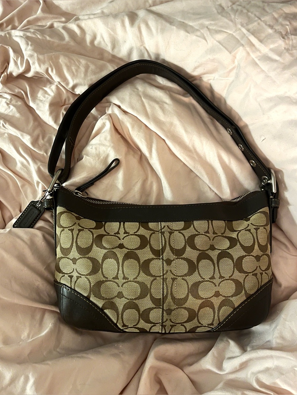 Coach brown bag